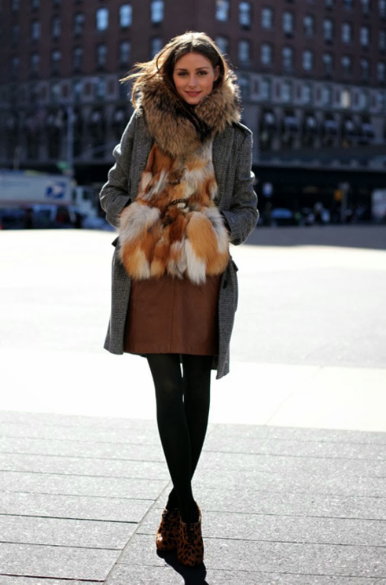 Olivia rocking 50 shades of fur (image via google)