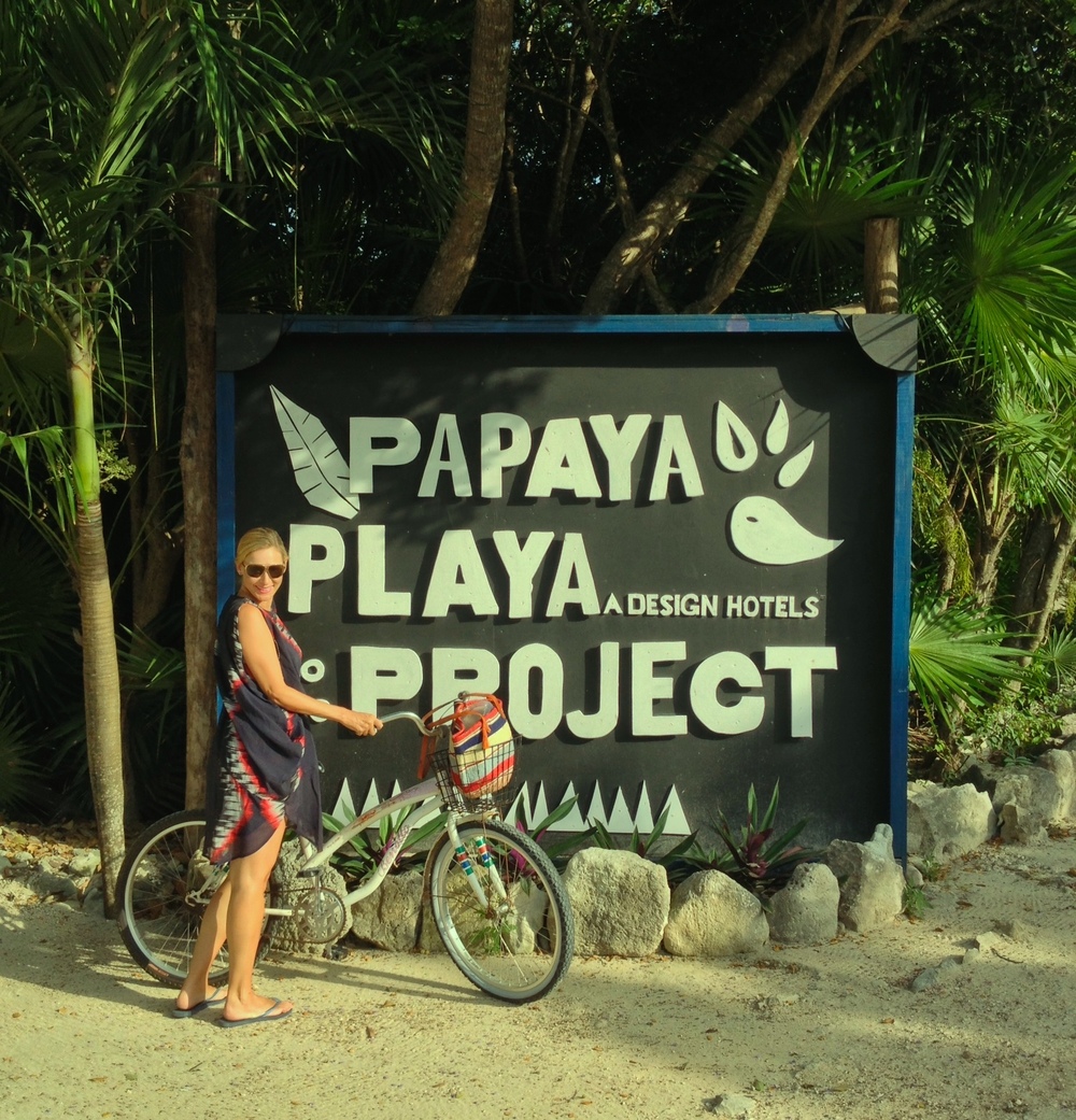 Image result for Papaya Playa Project logo