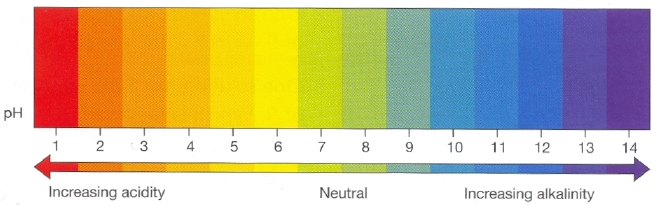 A normal pH balance in the human body falls between 7.35 and 7.45.  Acidic toxins that collect in the body cause pH to fall below 7.35, creating the perfect environment for bad things, such as fungi, bacteria, and viruses to grow unchecked. Zeologic Zeolite helps to restore pH balance by pulling out these acidic toxins out of cells and carrying them out of the body.