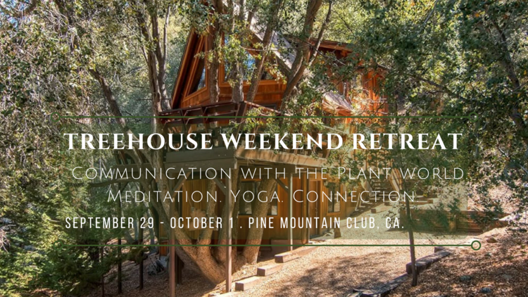Treehouse Weekend Retreat