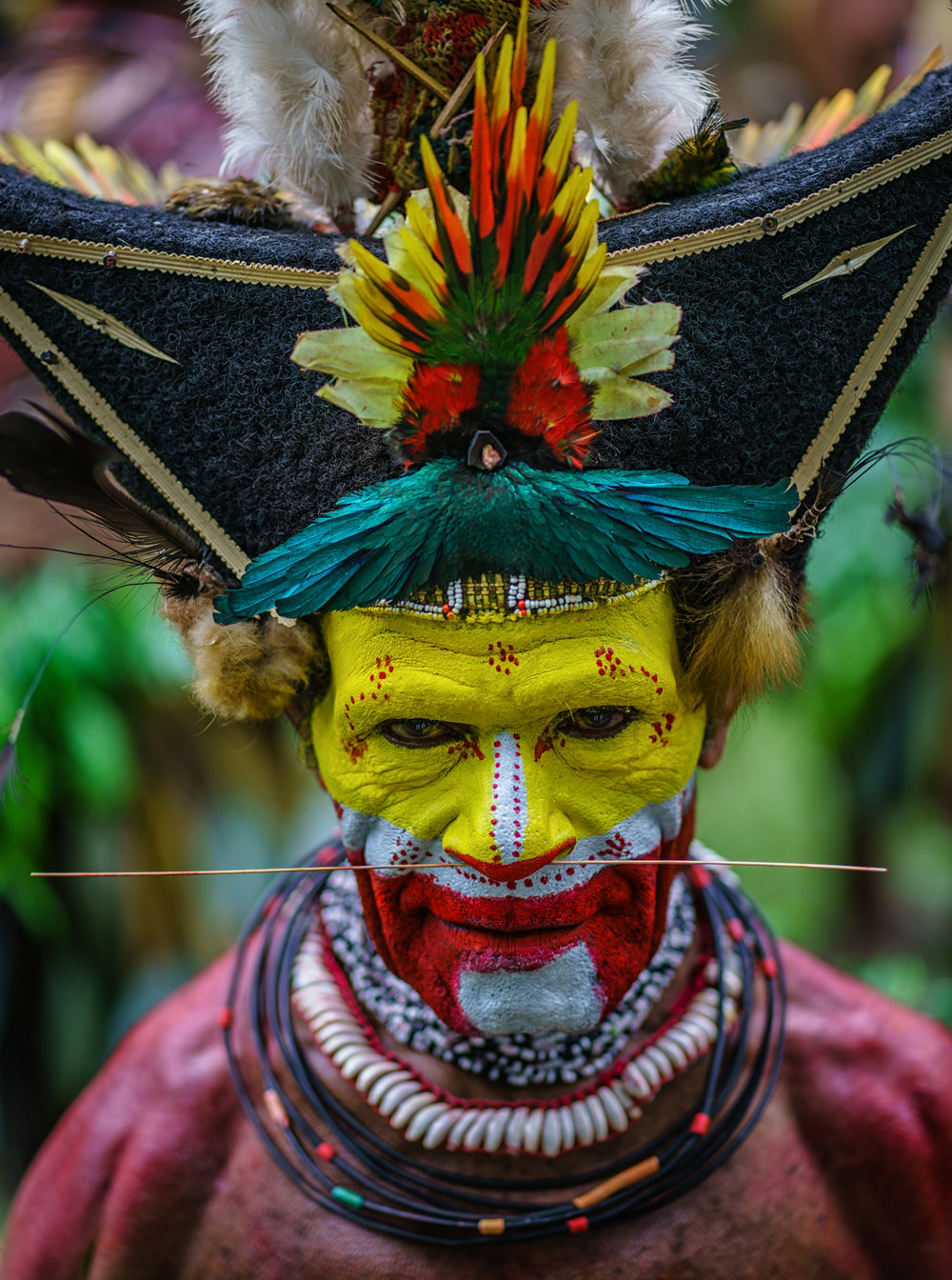  Papua Nugini  Manusia Huli Berwajah Kuning TaipanQQ Lounge