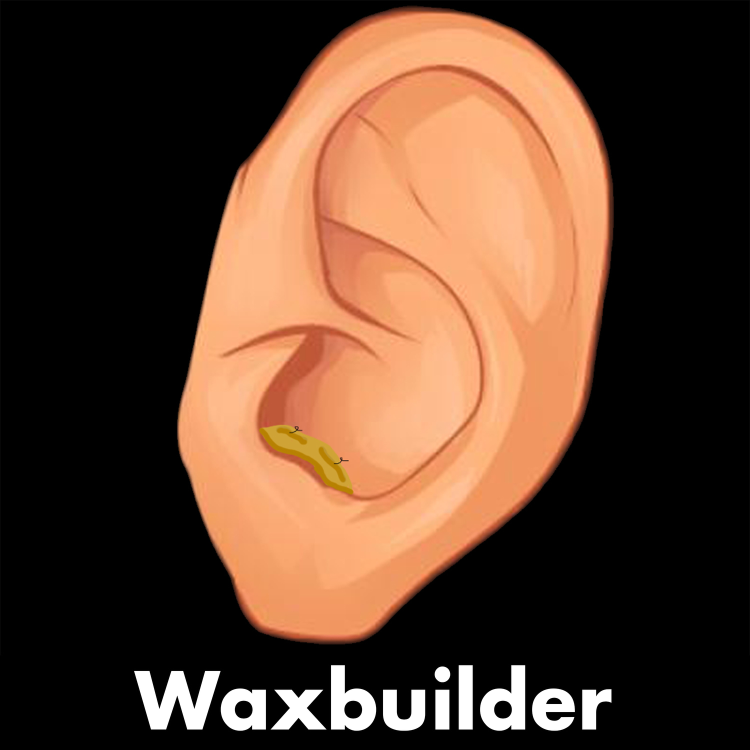 Waxbuilder - Waxbuilder