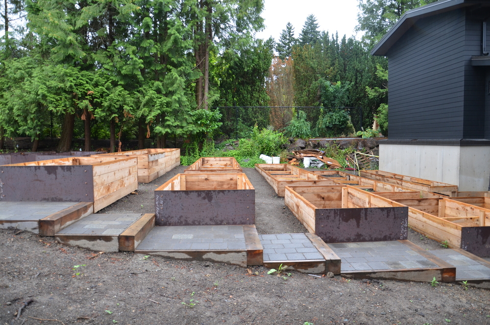 100 Terraced Vegetable Garden Gardening On The Roof Set Up