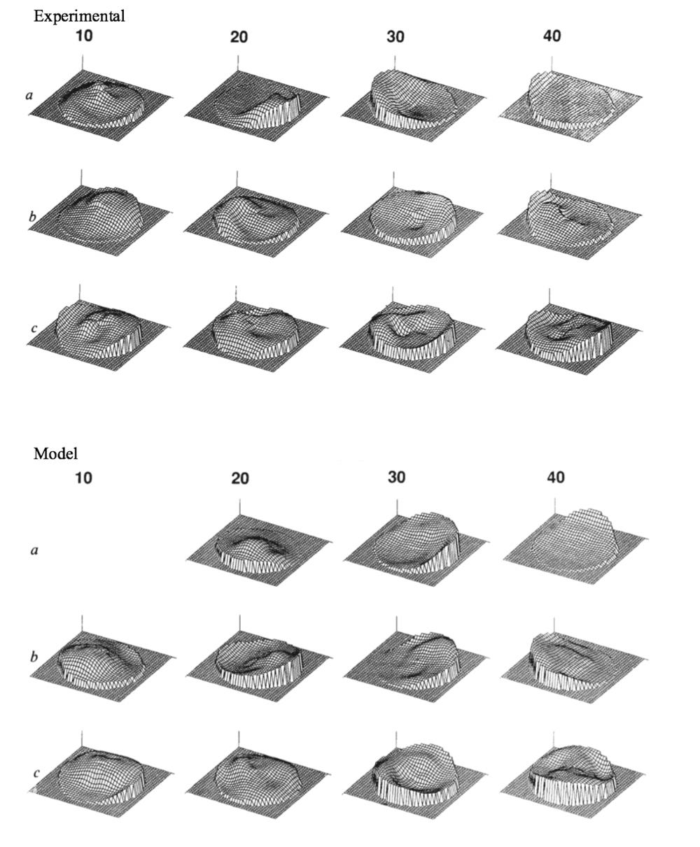  Figure B: comparison of experimental and model-derived receptive fields. Top: receptive field for various PPC neurons. Bottom: receptive fields various hidden layer units in the model. Modified from figure 2 and figure 5 of Zipser and Andersen (1988). To generate receptive fields, monkey fixated at a single point and was presented spot stimuli at various locations on the screen. The responses and a smooth surface was fit to the data points. 