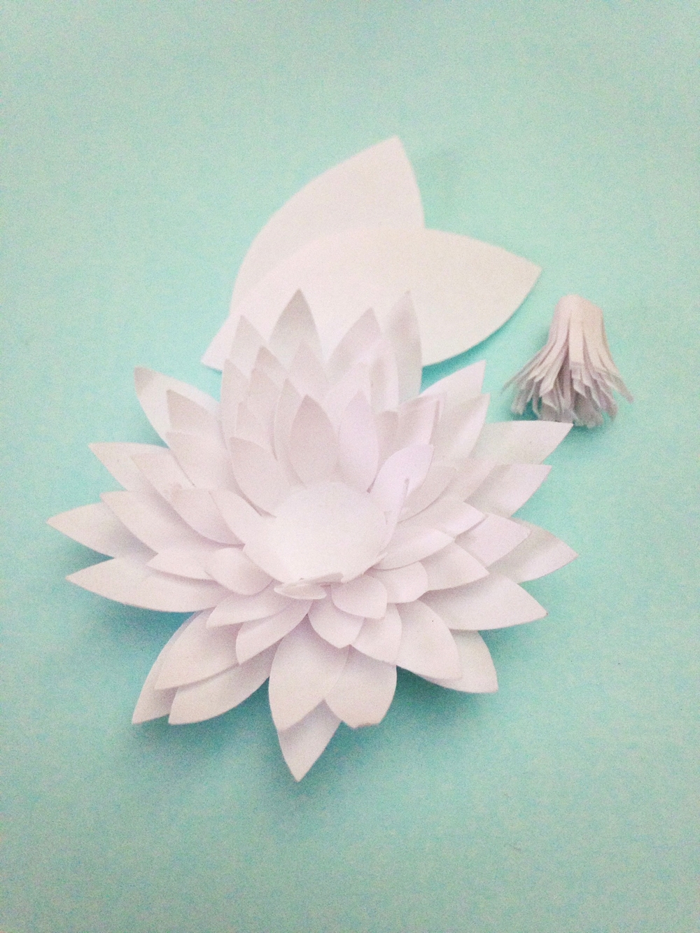 paper-water-lilies-chrysanthemums-tutorial-only-just-becoming