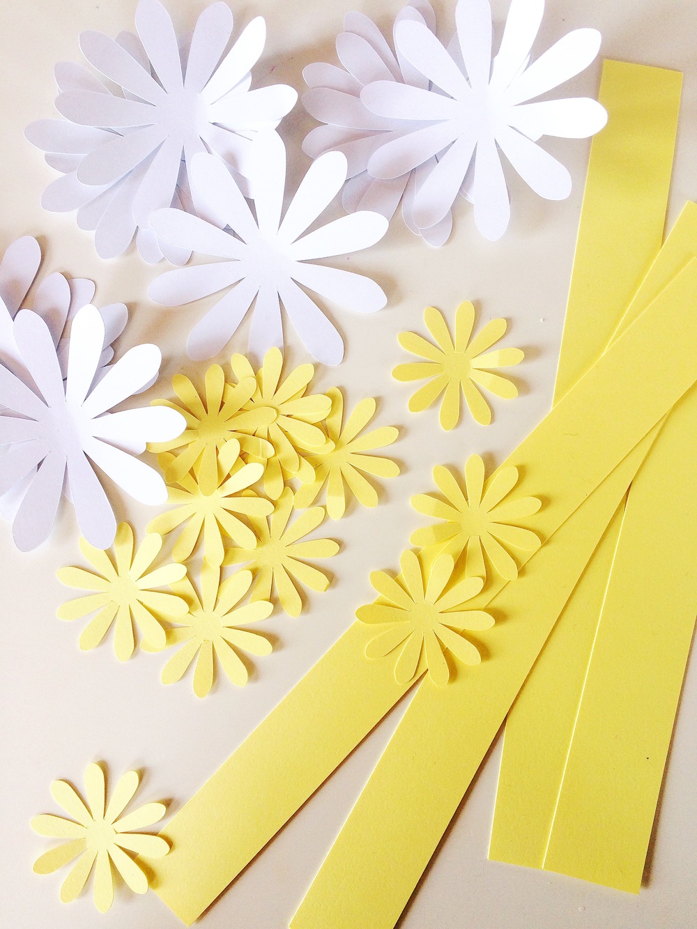 paper-daisies-tutorial-only-just-becoming