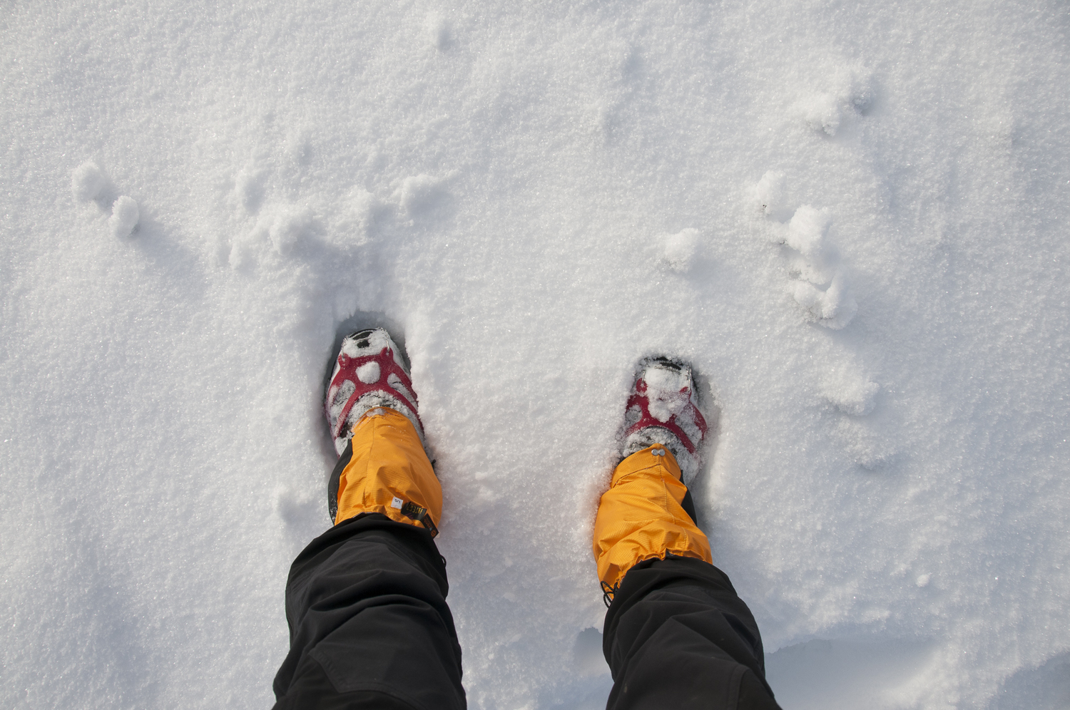 Choosing Winter Boots — Backpacking North