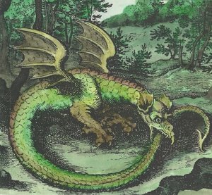 Image result for alchemical green dragon