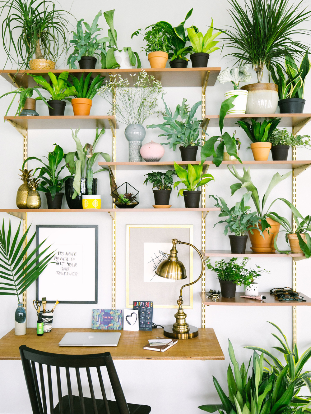 15 Gorgeous Ways To Decorate With Plants OLD BRAND NEW