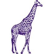 Purple Giraffe Designs Coupons & Promo codes