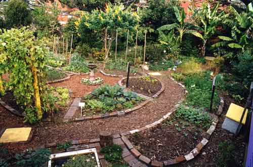Organic Garden Design