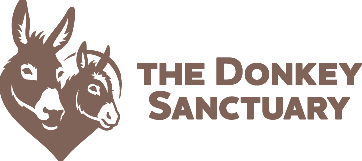 Resultado de imagen para the donkey sanctuary