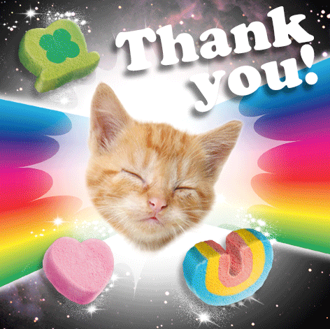 Image result for thank you gif cat