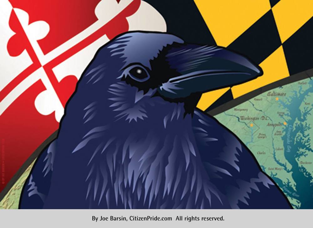 Citizen Pride's Maryland Raven