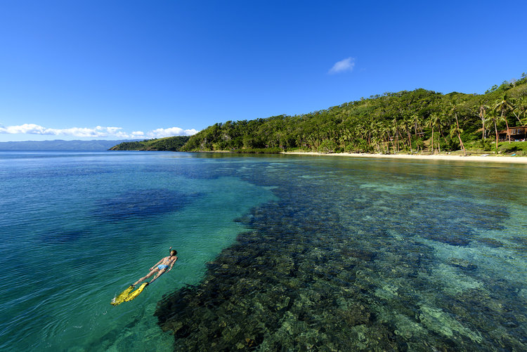 Image result for the remote resort fiji