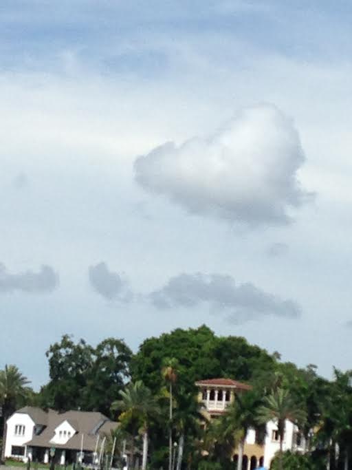 PHOTO TAKEN IN ST. PETERSBURG, FLORIDA BY WISE OWL BETSY WHO CAPTIONS THE PHOTO "REMINDER FROM NATURE: YOU ARE LOVED"