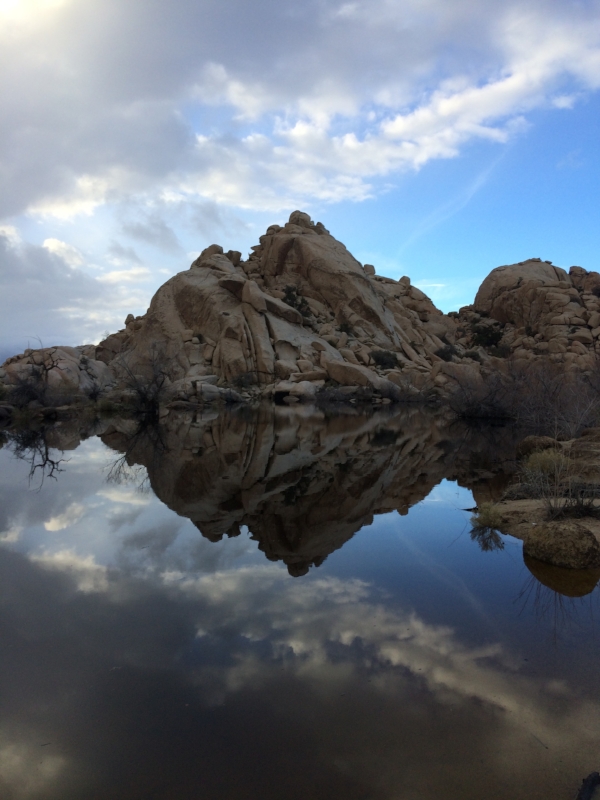 PHOTO TAKEN AT JOSHUA TREE NATIONAL PARK BY WISE OWL PETE