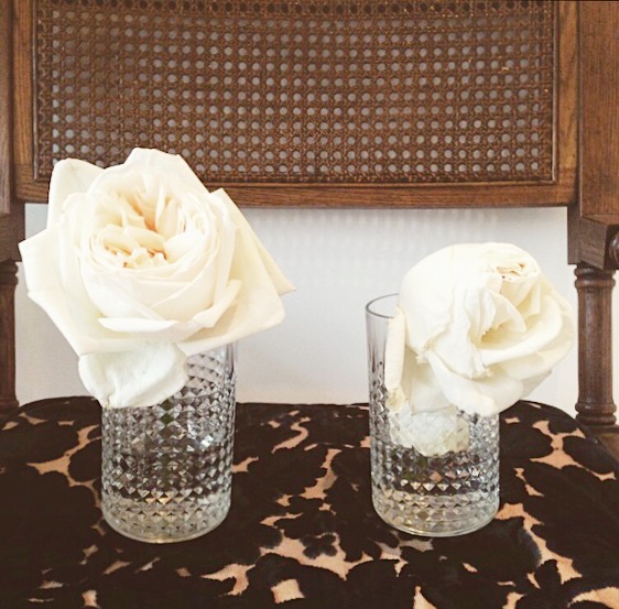 Flower Food Experiment (January 2015) by OLFCO. White O’Hara Garden Roses In Water with Florallife (LEFT) and in Water Only (RIGHT) after 9 Days.