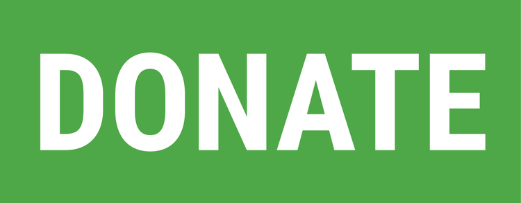 Image result for Donate button jpg