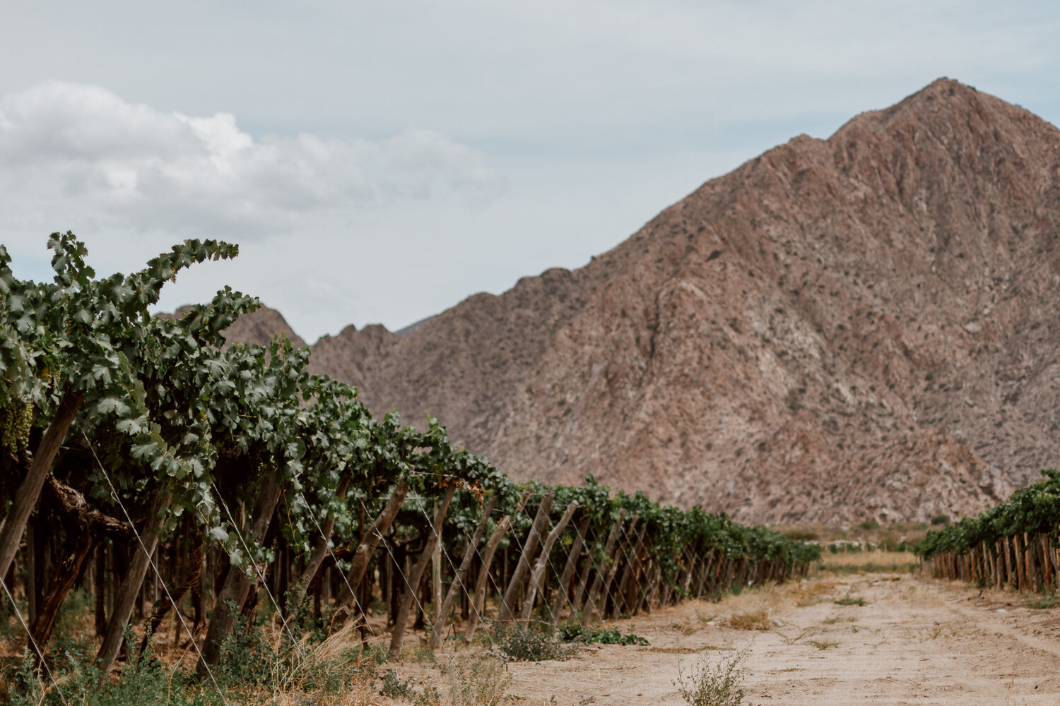 Cafayate | Argentina's Other Wine Country — ALONG DUSTY ROADS