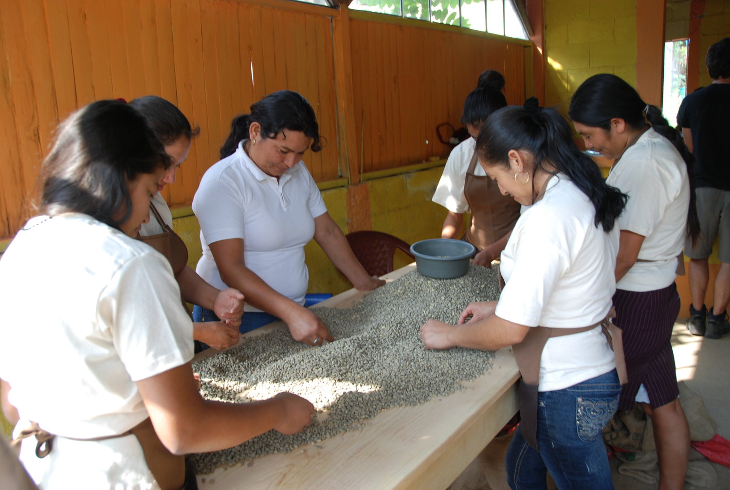Mokaflor and the Women Coffee Project