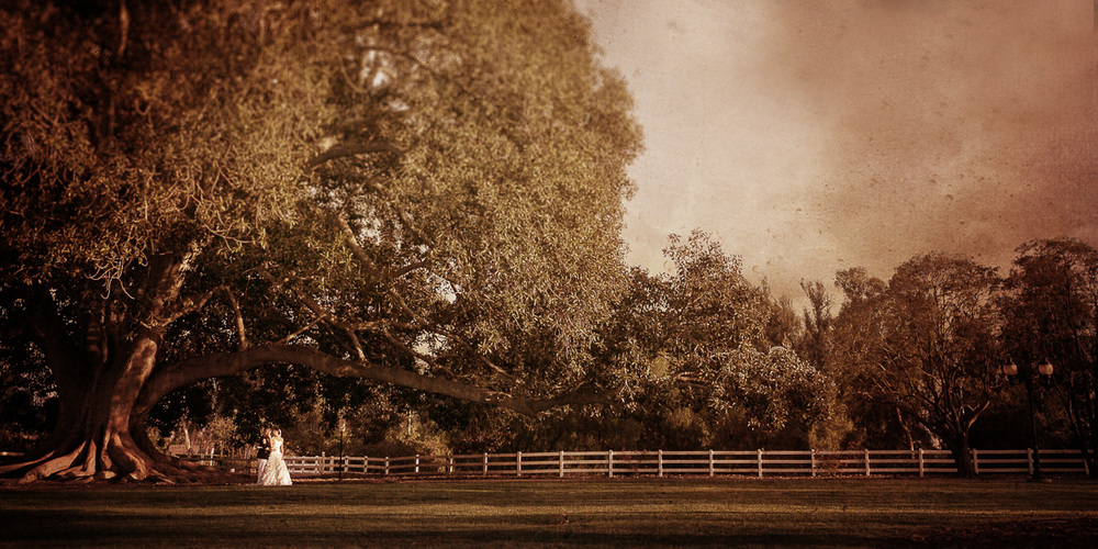 Camarillo-ranch-main-lawn-wedding-photos