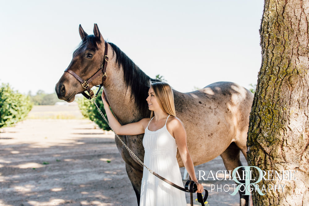 lacey mcgraw and her horses athens photographer rachael renee photography Web-26.jpg
