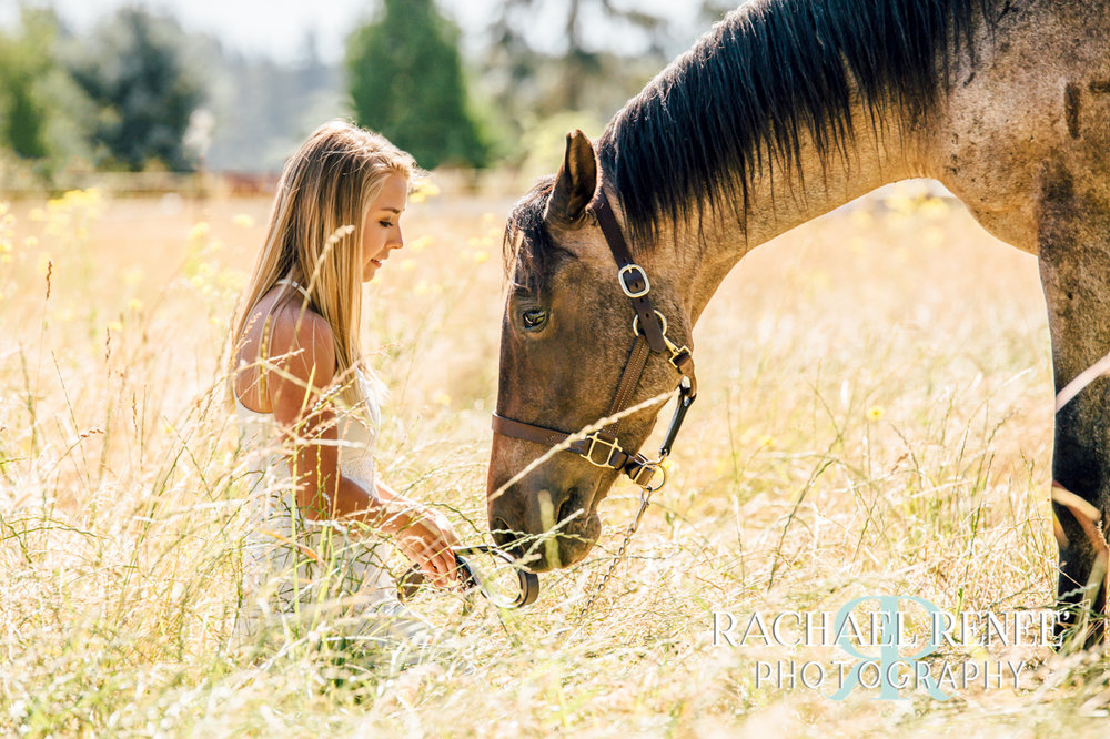 lacey mcgraw and her horses athens photographer rachael renee photography Web-29.jpg