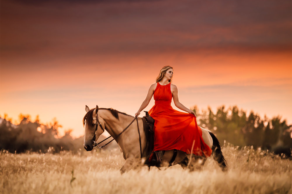leslie brown athens horse photographer rachael renee photography Web-45.jpg