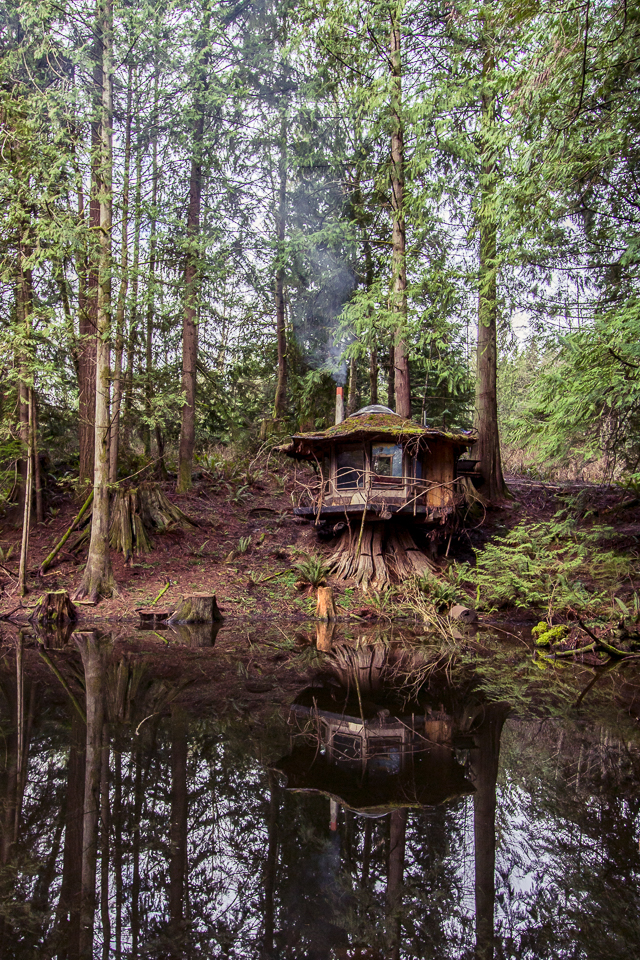 The Stump House. Old-growth stump as foundation, set on the banks of a lake Sun Ray built.