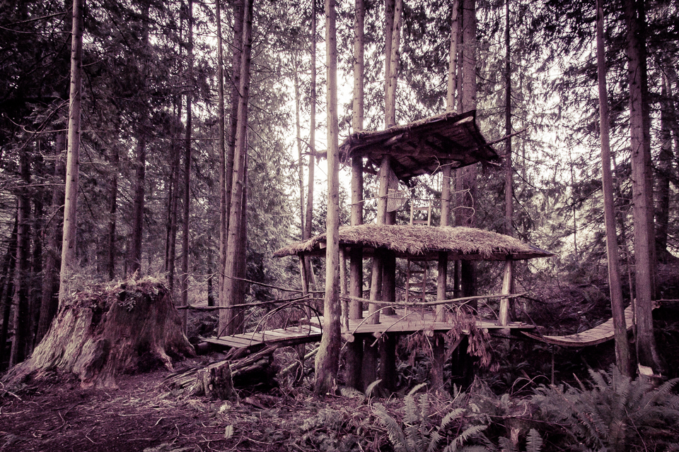 Tree Fort. Note the size of the stump!