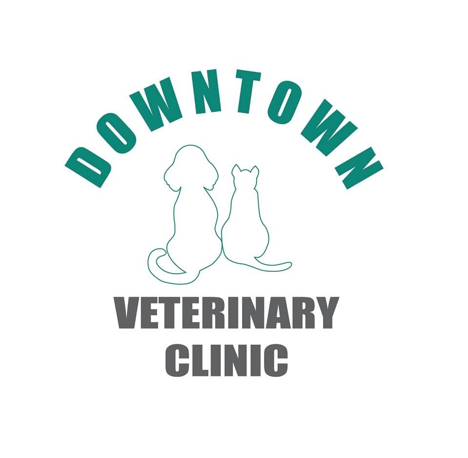  Veterinary Clinic
