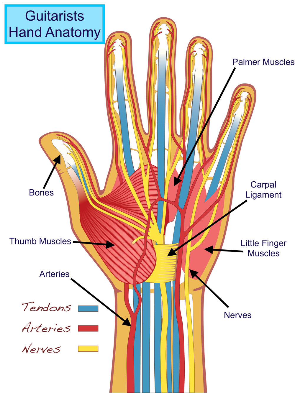 Pins And Needles In Right Thumb Wrist And Forearm 118