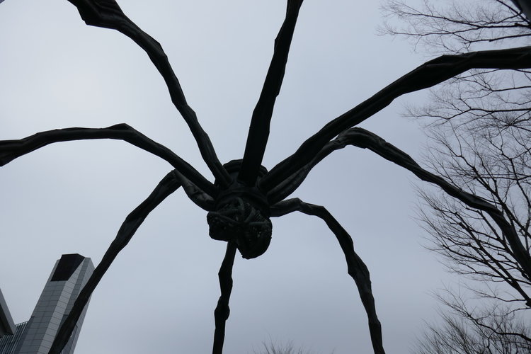  The disilusionment spider 