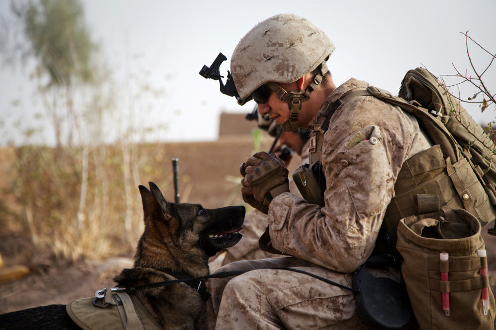  A United States Marine and his partner Marine Working Dog. 