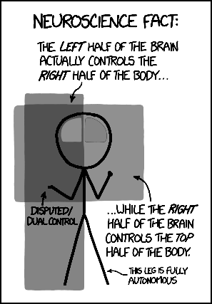 via   the comic delivery system monikered   Randall Munroe   at   XKCD  !