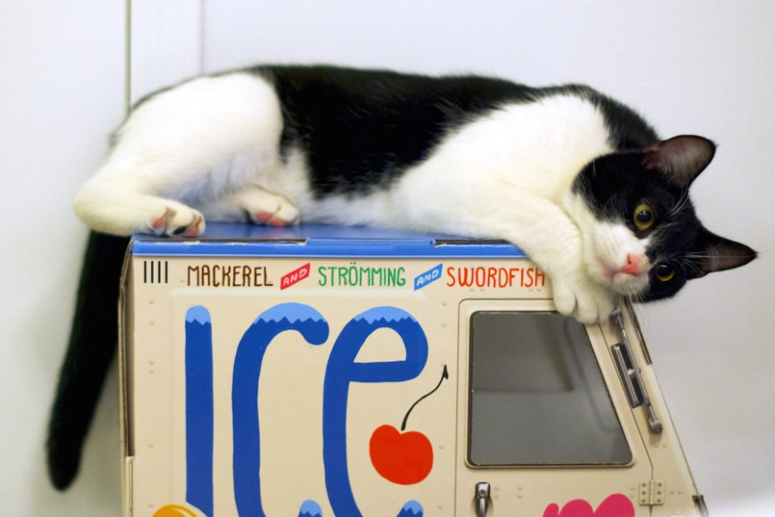 PHOTOS: The City’s First Cat Café Opens This Week and They’re Already Booked Through January   Edible Manhattan: 16 Dec 2014
