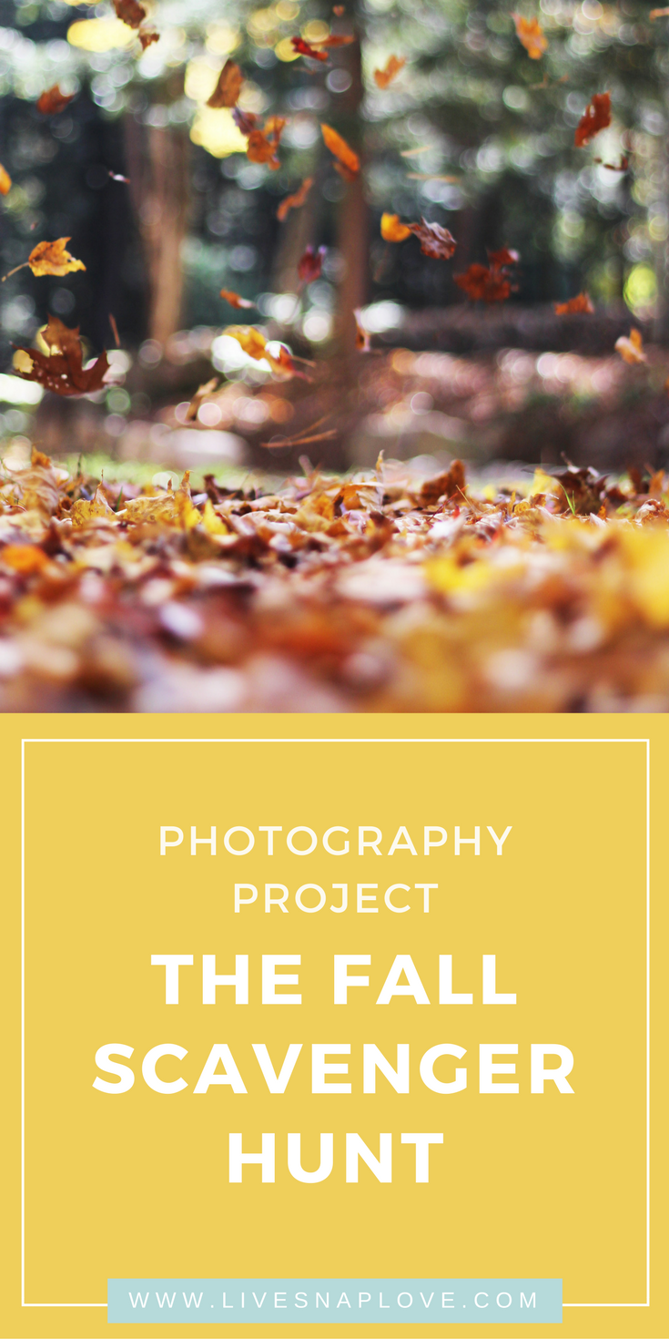 Photography Project for Fall | Creativity Challenge | Photo Scavenger Hunt | Photo Prompts for Fall