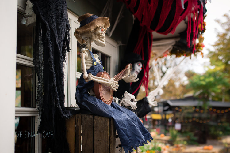 4 Tips For Photographing Halloween