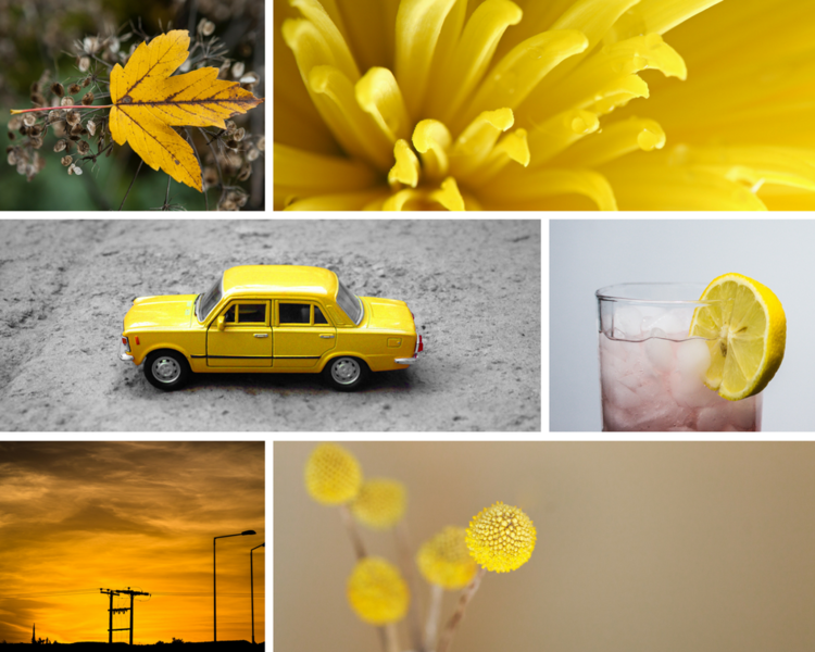 11.png12 Types of Photography Projects and Creative Exercises you can do in 2018