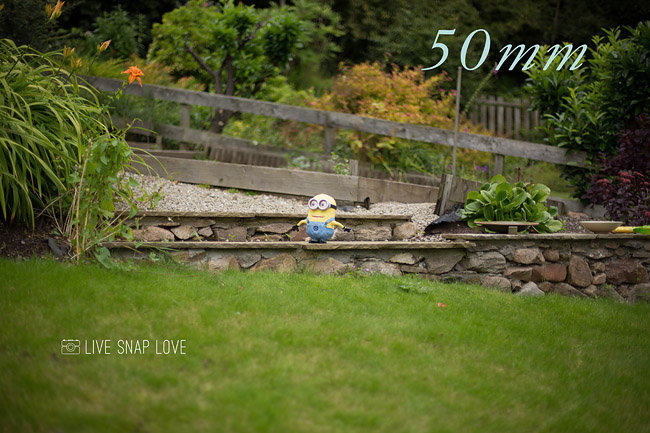 35mm vs 50mm - 50mm focal length.jpg