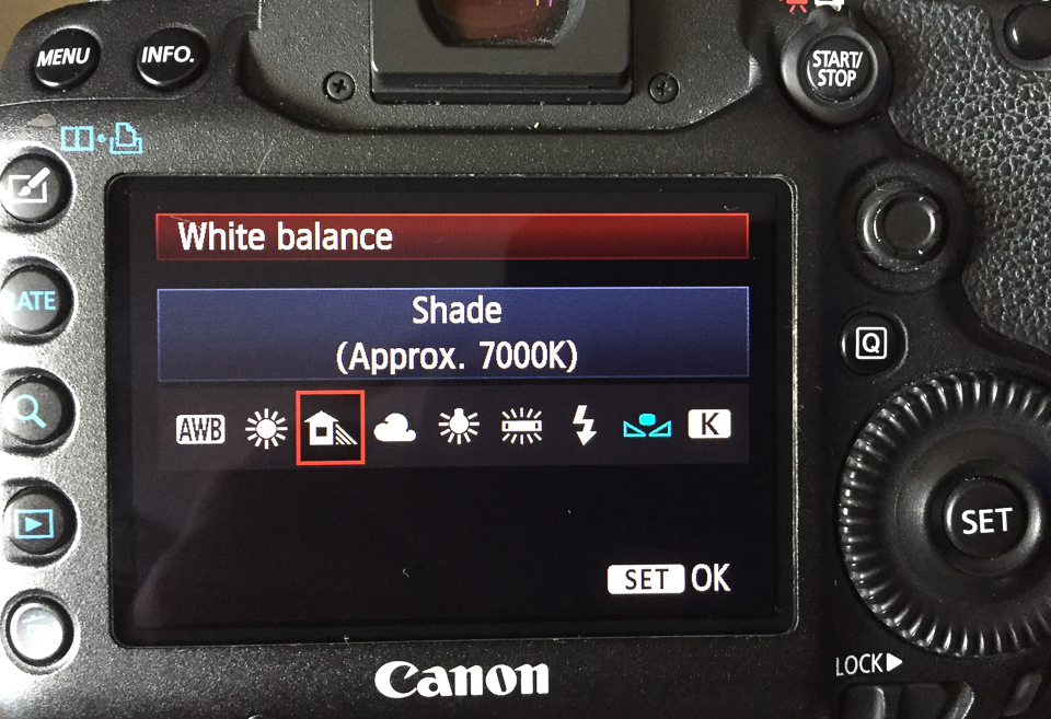White balance settings for open shade.jpg