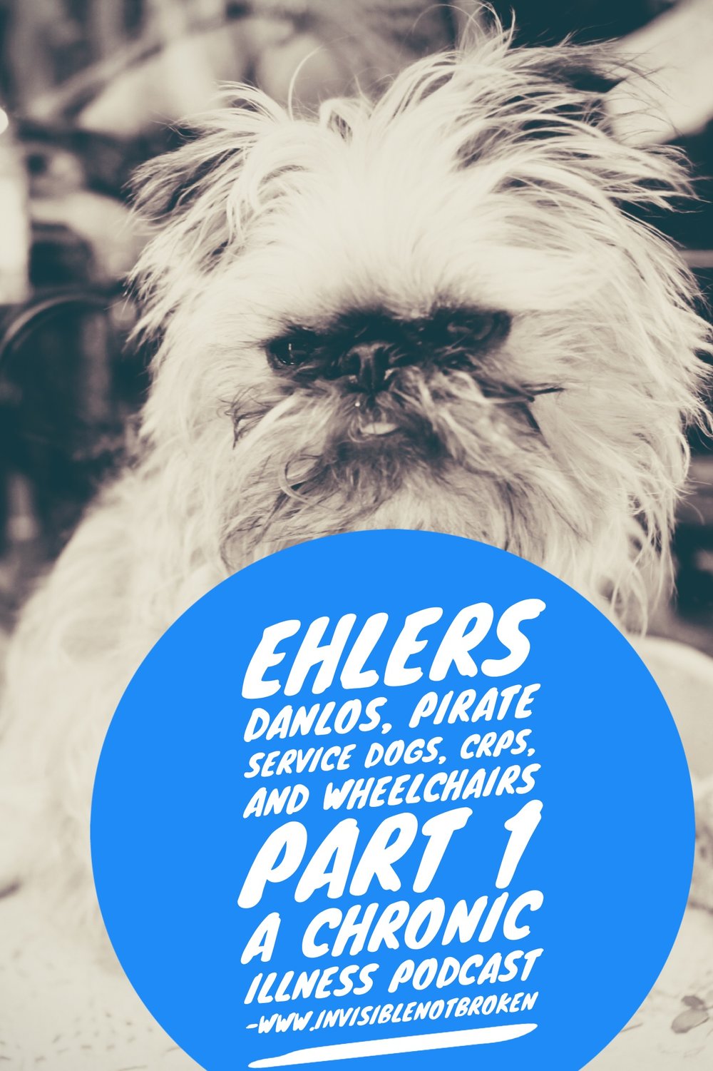 ehlers-danlos-crps-service-dog-wheelchair-chronic-illness-blog.jpg