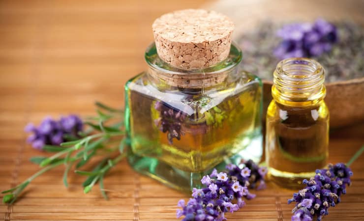 Image result for lavender and tea tree oil
