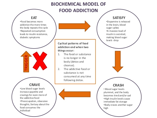 [Image: biochemical+model+of+food+addiction]