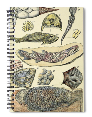  Fossil note books, mugs, and more! 