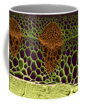 Science coffee mugs, notebooks, tote bags, and more!