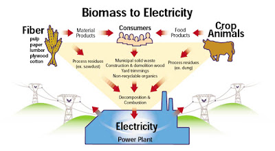 What is biomass electricity, and what waste to energy & biomass in  California means for you and me. — San Joaquin Valley Clean Energy  Organization