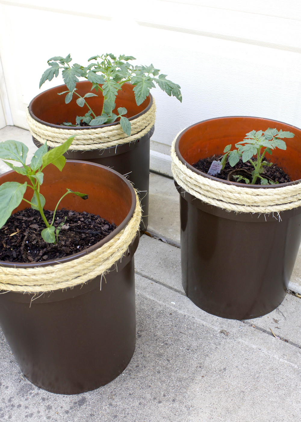 How to Make a Planter From a 5 Gallon Bucket — Tag & Tibby ...