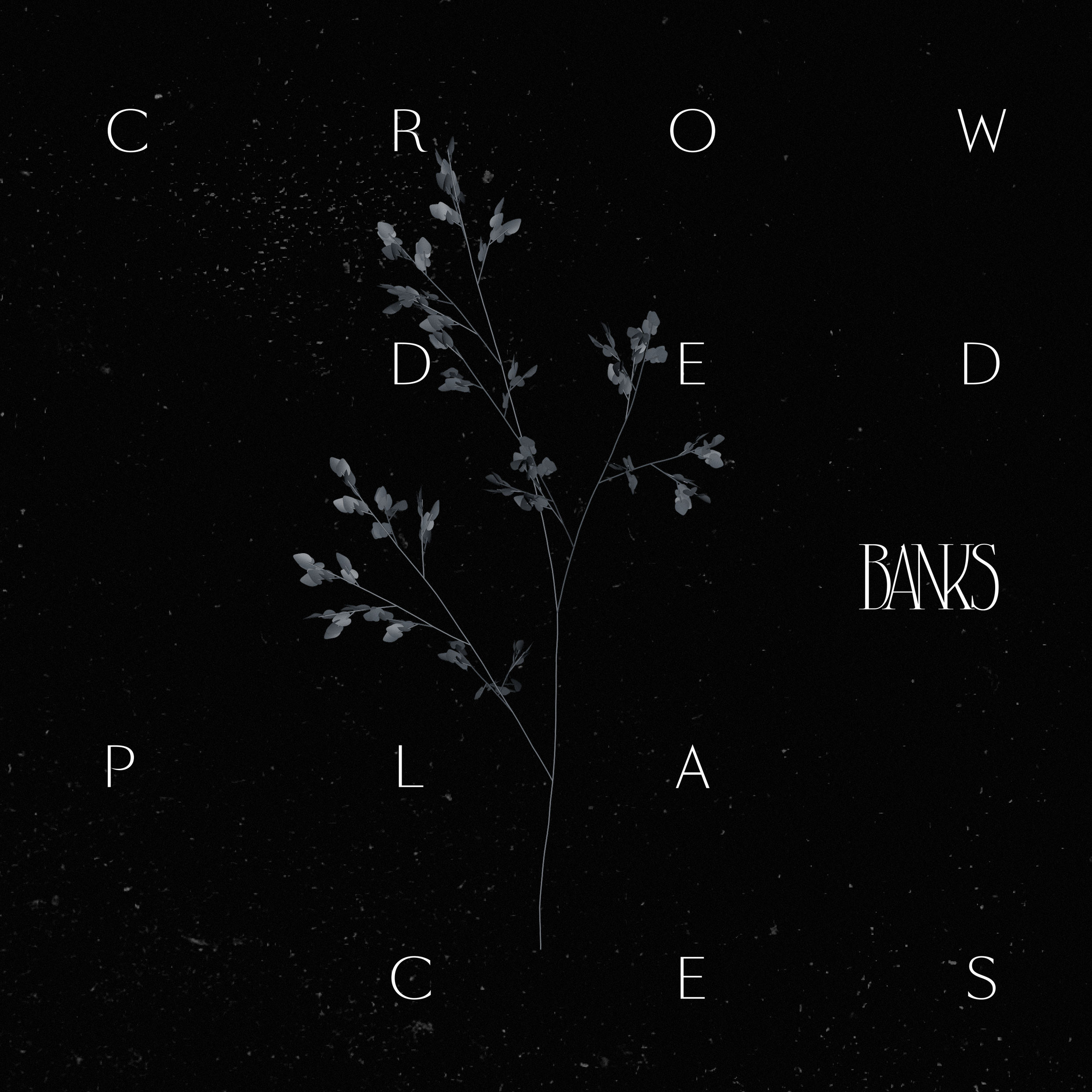  banks - crowded places 